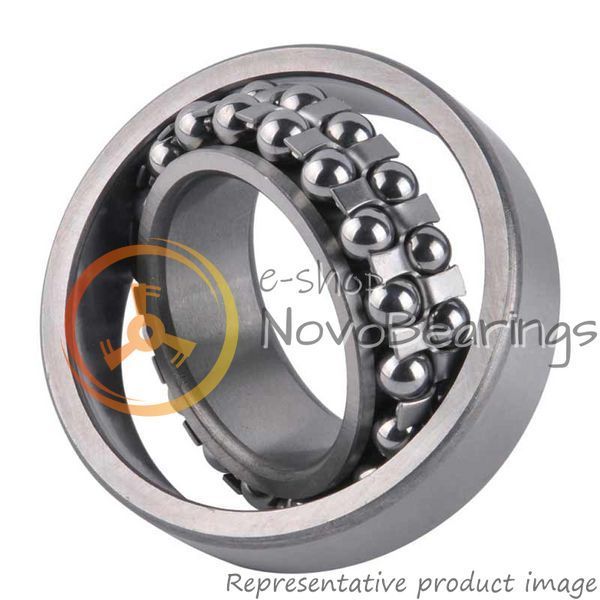 1219 SKF Bearing (95х170х32 mm.)