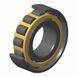 N322EG1C3 NTN Bearing (110х240х50 mm.)
