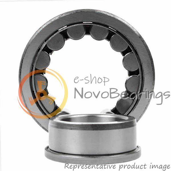 NJ 2224 ECJ SKF Bearing (120х215х58 mm.)