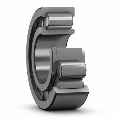 NJG 2313 VH SKF Bearing (65х140х48 mm.)
