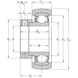 CYS 25 FM SKF Bearing (25х62.3х31 mm.)