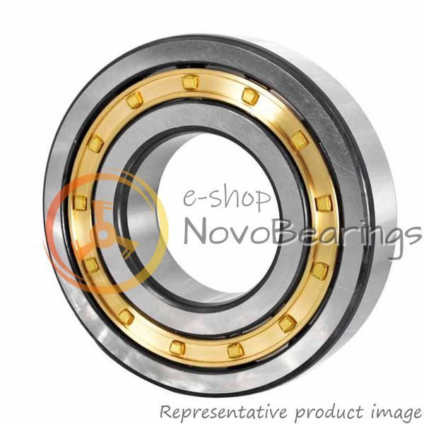 NJ 2320 ECM SKF Bearing (100х215х73 mm.)