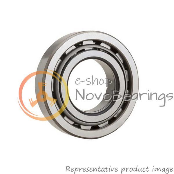 NUP 2319 ECJ SKF Bearing (95х200х67 mm.)