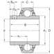 YAR 209-2RF SKF Bearing (45х85х49.2 mm.)