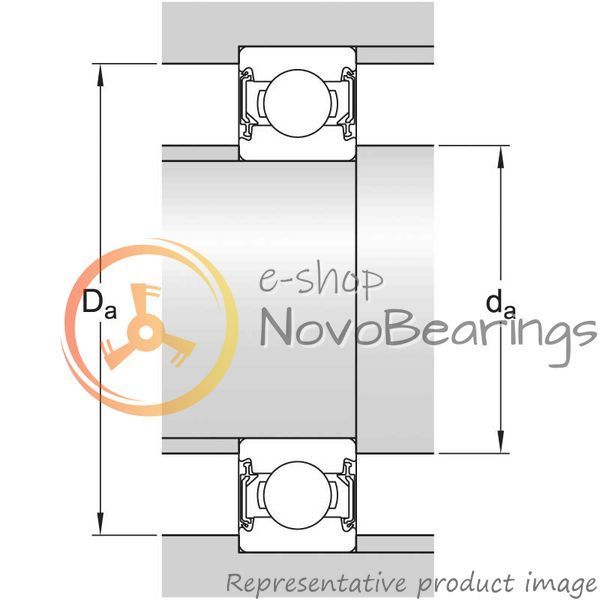 6203-2RSLTN9/HC5C3WT SKF Bearing (17х40х12 mm.)