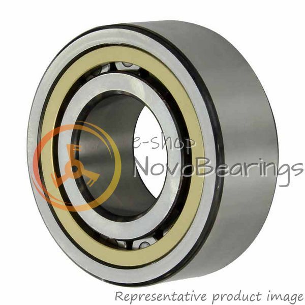 NJ 320 ECML SKF Bearing (100х215х47 mm.)