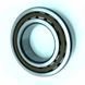 NJ 2204 ECP SKF Bearing (20х47х18 mm.)