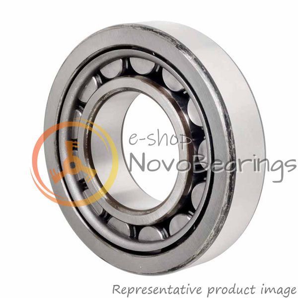 NJ 2219 ECJ SKF Bearing (95х170х43 mm.)