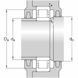 NU 307 ECJ SKF Bearing (35х80х21 mm.)
