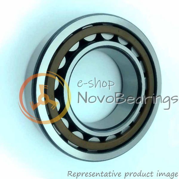 NJ 305 ECP SKF Bearing (25х62х17 mm.)