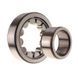NU 210 ECJ SKF Bearing (50х90х20 mm.)