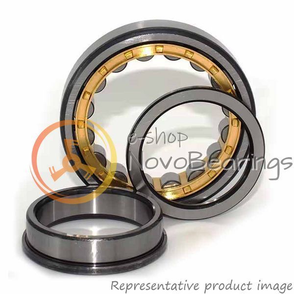 NUP 252 MA SKF Bearing (260х480х80 mm.)