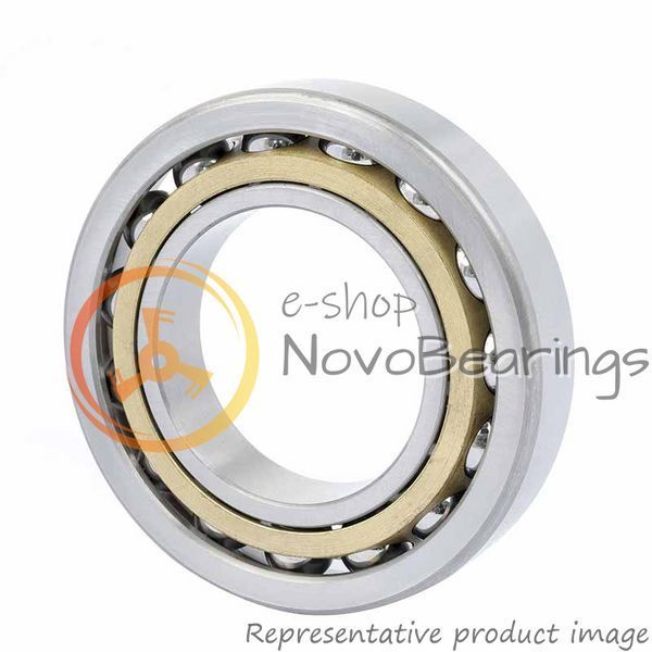 307238 SKF Bearing (400х600х90 mm.)