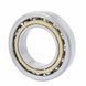 307238 SKF Bearing (400х600х90 mm.)