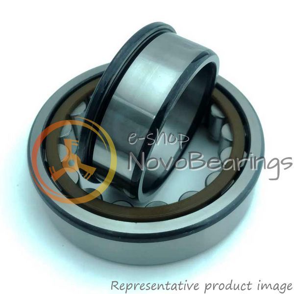 NJ 2220 ECP SKF Bearing (100х180х46 mm.)